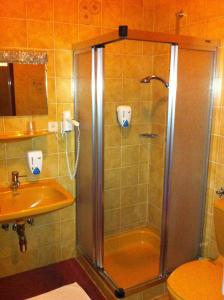 格莱斯多夫毛雷尔宾馆－维诺特克的带淋浴和盥洗盆的浴室