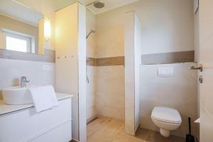 费马恩Buedlfarm-Wohlfuehlhuette的白色的浴室设有卫生间和水槽。