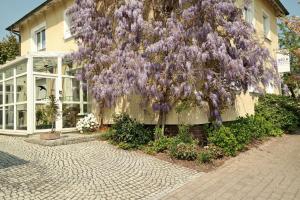 瓦尔堡Pension Franzbäcker的一座建筑物边一棵紫色花的树