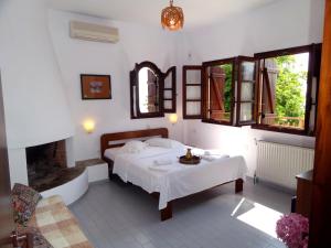 圣季米特里奥斯弗里奥尼斯酒店的一间卧室配有一张床和一个壁炉
