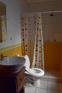 圣地亚哥兰迪旅舍的一间带卫生间和水槽的浴室