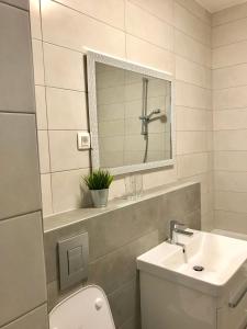 萨格勒布Ocean Apartment的一间带水槽、卫生间和镜子的浴室