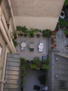 巴黎达尔塞酒店的享有种植了盆栽植物的庭院的顶部景色