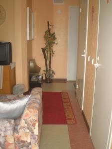 派尔努詹塞尼住宿酒店的客厅配有沙发和电视。