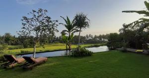 塞莱马德加Bali Beach Eco Villas Pondok Matekap的两把椅子坐在池塘旁的草地上