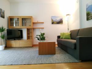 梅拉诺Appartment Trojer的带沙发和电视的客厅