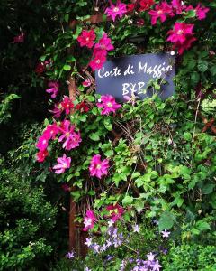 伊莫拉Corte di Maggio B&B的花丛中的花标