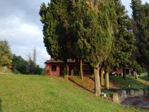 乌尔比诺卡乔瓦尼乡村度假住宿加早餐酒店的山丘上树木林立的房屋