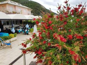 德瓦玛丽娜艾尔伯格拉兰帕拉酒店的一座建筑物前有红花的树
