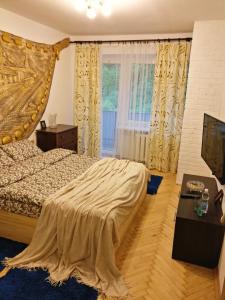利沃夫Very nice Apartment in L'viv的一间卧室设有一张床和一个窗口