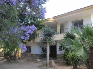 AntasPor la zona de Cabo de Gata的白色的房子,有树木和紫色的花朵