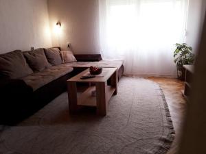 弗尔沙茨Potkrovlje的带沙发和咖啡桌的客厅