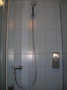 巴黎达尔塞酒店的带淋浴的浴室(带瓷砖墙)