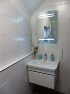 阿伦斯霍普Darßer Strandgut - Haus Butzek的白色的浴室设有水槽和镜子