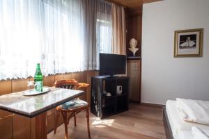 Wissen那绍尔霍夫酒店的客厅配有一张床和一张桌子及一台电视