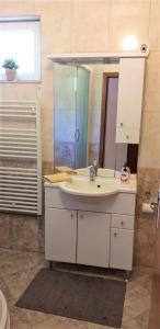 古维达里Agriculture & Holiday house Lasko的一间带水槽和镜子的浴室