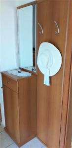古维达里Agriculture & Holiday house Lasko的浴室设有镜子和卫生纸饮水机