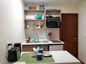 瓦尔迪维亚Casa Río Vivo的一个带水槽和台面的小厨房
