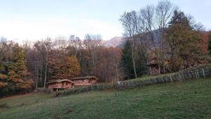 Collonges-sous-Salève萨莱沃度假屋的山丘上田野上的一组小屋