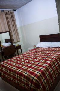帕尔米拉Hotel Pacifico的一间卧室配有一张带 ⁇ 子毯子的床