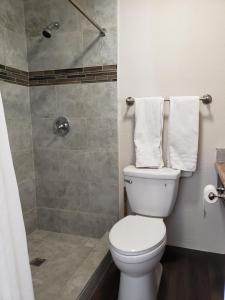 埃尔森特罗经典旅馆及套房酒店的浴室设有卫生间和带毛巾的淋浴。