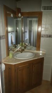 GavilanesCasa rural La Borriquita的一间带水槽和镜子的浴室