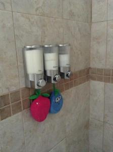 Saint-Luc-de-Vincennes姐妹别墅旅馆的淋浴中的一组卫生纸分配器