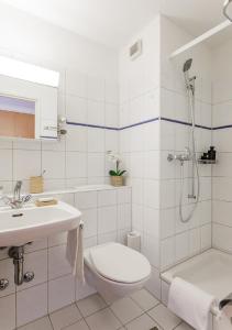 苏黎世Swiss Star Tower - Self Check-In的浴室配有卫生间、淋浴和盥洗盆。
