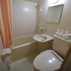岩仓市名古屋岩仓站精选酒店的一间带卫生间和水槽的小浴室