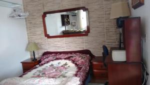 玛丽亚达费Recanto das Videiras的卧室配有一张床,墙上设有镜子