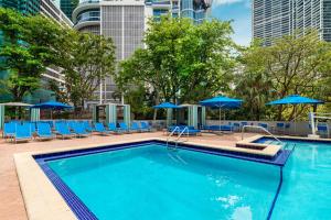 迈阿密迈阿密凯悦丽晶酒店的一个带蓝色椅子和遮阳伞的游泳池