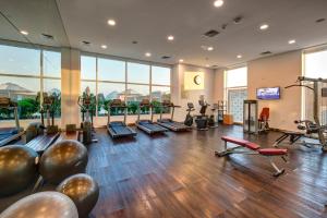 迪拜迪拜伊本·白图泰购物中心普瑞米尔酒店的大楼内带跑步机和健身器材的健身房