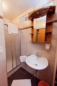 Ternberg科勒霍夫宾馆的一间带水槽和淋浴的浴室