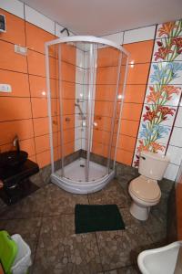 利马Hospedaje el viajero-Aeropuerto的带淋浴和卫生间的浴室