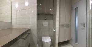 比尔森apartmán Poděbradka的白色的浴室设有卫生间和玻璃门