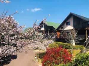 志摩市菲奥雷志摩山林小屋的相册照片