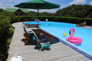 志摩市菲奥雷志摩山林小屋的游泳池配有粉色天鹅和遮阳伞
