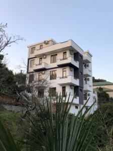 姆兹瓦内康茨基Holiday House Green Cape Batumi的一座高大的白色建筑,前面有一棵棕榈树