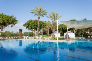 凯撒利亚Dan Caesarea Resort的一个带椅子的游泳池、一个白色的天篷和棕榈树