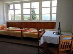 什平德莱鲁夫姆林Horská chata Sedmidolí的配有桌子和窗户的客房内的两张床