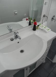 阿米代尔摩尔庄园酒店的浴室设有白色水槽和镜子