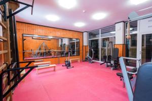 Zámek Lužec Spa & Wellness Resort的健身中心和/或健身设施