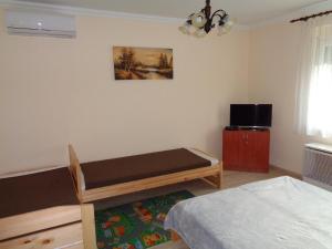 豪伊杜索博斯洛Otthon Apartman的一间带床和电视的小卧室