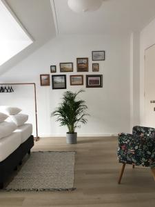 滨海卡特韦克Kamers van Goud的带沙发和盆栽植物的客厅