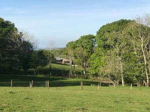 文特诺Godshill Park Barn的带有栅栏的田野和背景的房子