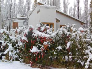 马拉圭Los Abedules Bungalow的房屋前有红花的雪覆盖的灌木丛
