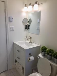 梅戈格Le Rustique Orford Domaine Cheribourg的一间带水槽、卫生间和镜子的浴室
