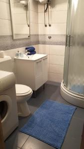 斯普利特Fortuna Rajna Apartman的一间带卫生间和淋浴的浴室以及蓝色地毯。