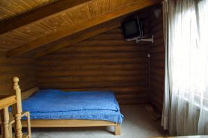 切尔诺夫策德维丽柯酒店的一间卧室配有蓝色的床和电视