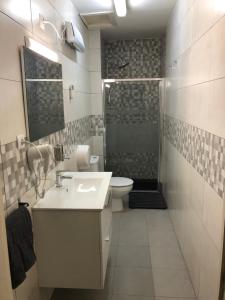 特拉萨马德里大道旅馆餐厅的一间带水槽、卫生间和淋浴的浴室